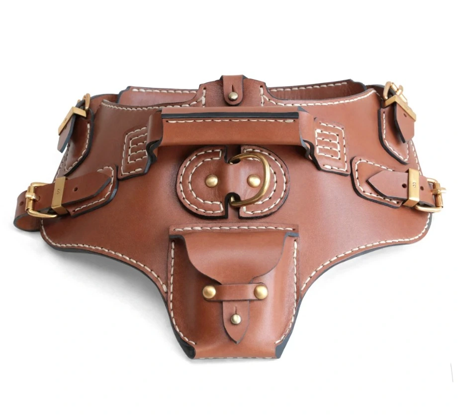 Dog Harness