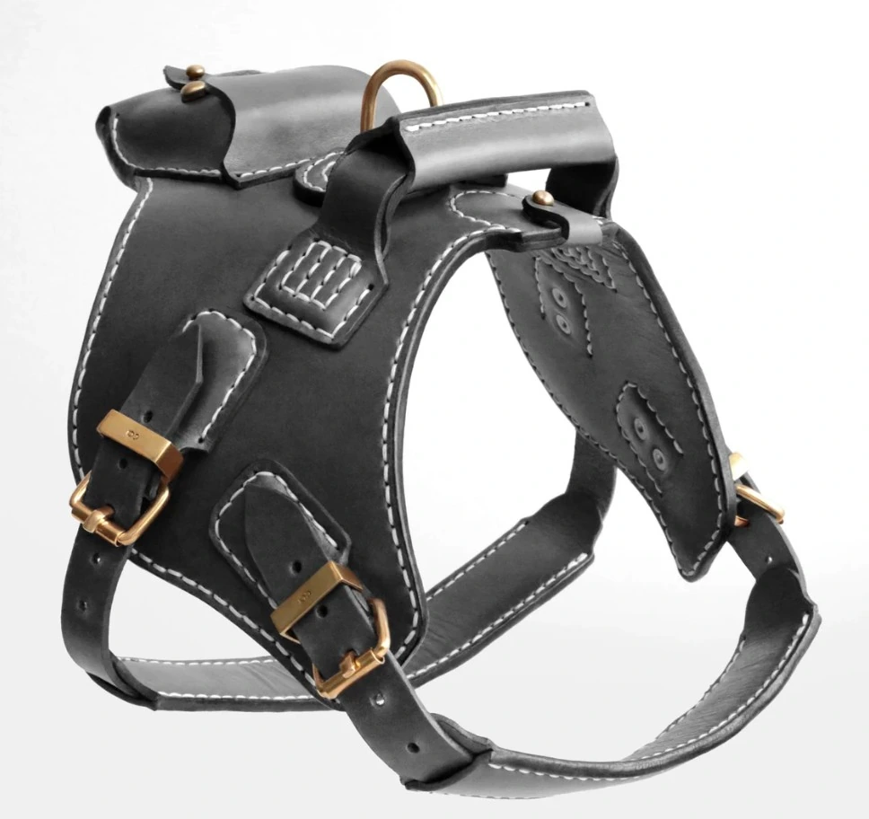 Dog Harness