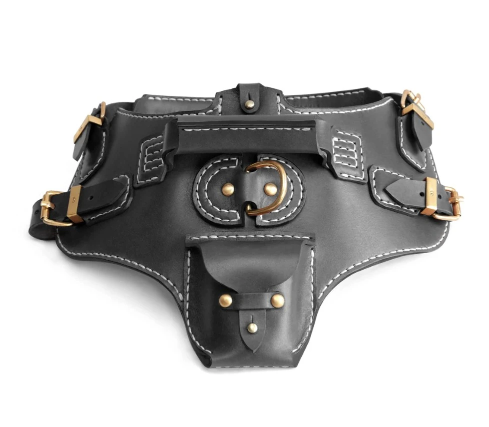 Dog Harness