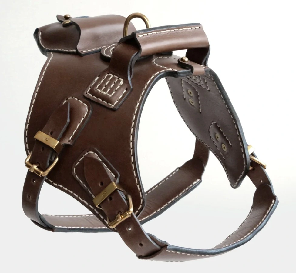 Dog Harness